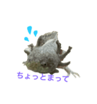 コロモンの1日（個別スタンプ：2）