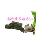 コロモンの1日（個別スタンプ：3）
