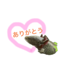 コロモンの1日（個別スタンプ：4）
