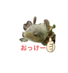 コロモンの1日（個別スタンプ：8）
