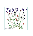 ミチコばあば NO22 秋の花 A（個別スタンプ：3）