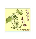 ミチコばあば NO22 秋の花 A（個別スタンプ：7）