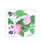 ミチコばあば NO22 秋の花 A（個別スタンプ：8）