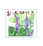 ミチコばあば NO22 秋の花 A（個別スタンプ：9）