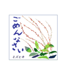 ミチコばあば NO22 秋の花 A（個別スタンプ：12）