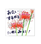 ミチコばあば NO22 秋の花 A（個別スタンプ：14）