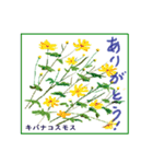 ミチコばあば NO22 秋の花 A（個別スタンプ：16）