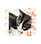 小春びより-2（個別スタンプ：2）