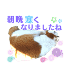 小春びより-2（個別スタンプ：17）