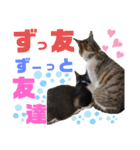 小春びより-2（個別スタンプ：18）