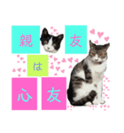 小春びより-2（個別スタンプ：19）