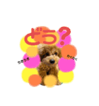 ぱる君すたんぷ（個別スタンプ：2）
