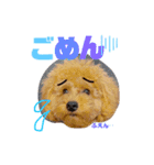 ぱる君すたんぷ（個別スタンプ：3）