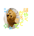 ぱる君すたんぷ（個別スタンプ：9）