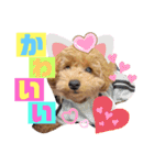 ぱる君すたんぷ（個別スタンプ：10）