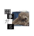 ぱる君すたんぷ（個別スタンプ：12）