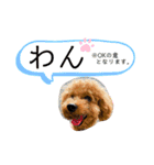ぱる君すたんぷ（個別スタンプ：15）