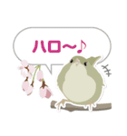 かわいい野鳥たちのあいづちスタンプ（個別スタンプ：1）