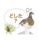 かわいい野鳥たちのあいづちスタンプ（個別スタンプ：15）