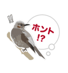 かわいい野鳥たちのあいづちスタンプ（個別スタンプ：18）