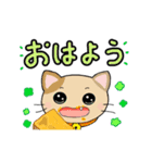 動くねこスタンプ✿くろっち＆みけばん（個別スタンプ：6）