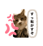 むげりん（個別スタンプ：3）