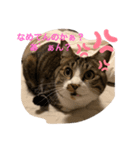 むげりん（個別スタンプ：4）