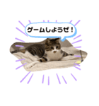 むげりん（個別スタンプ：8）
