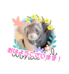 フェレットるぅ（個別スタンプ：4）