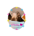 フェレットるぅ（個別スタンプ：12）