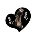 フェレットるぅ（個別スタンプ：13）