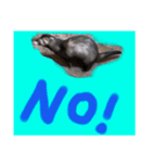 フェレットるぅ（個別スタンプ：15）