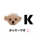@レオスタンプ（個別スタンプ：5）