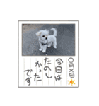 @レオスタンプ（個別スタンプ：12）
