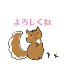 りすとねこのかわいいスタンプ（個別スタンプ：4）