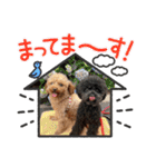 ちまちゃか日常（個別スタンプ：13）