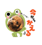 ちまちゃか日常（個別スタンプ：14）