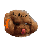 ちまちゃか日常（個別スタンプ：23）