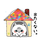 さくら猫ほっこり冬（個別スタンプ：16）