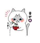 さくら猫ほっこり冬（個別スタンプ：34）