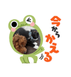 チョコロクック1（個別スタンプ：11）
