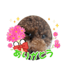 チョコロクック1（個別スタンプ：18）