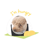 チョコロクック1（個別スタンプ：20）
