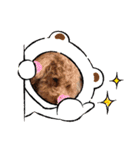 チョコロクック1（個別スタンプ：21）