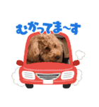 チョコロクック1（個別スタンプ：31）