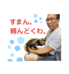 猫のチューイくん。ツー（個別スタンプ：13）