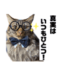 猫のチューイくん。ツー（個別スタンプ：21）