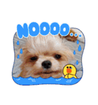 まとふぁみ2（個別スタンプ：5）
