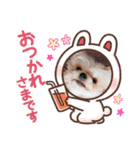 まとふぁみ2（個別スタンプ：6）