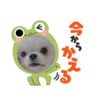 まとふぁみ2（個別スタンプ：8）